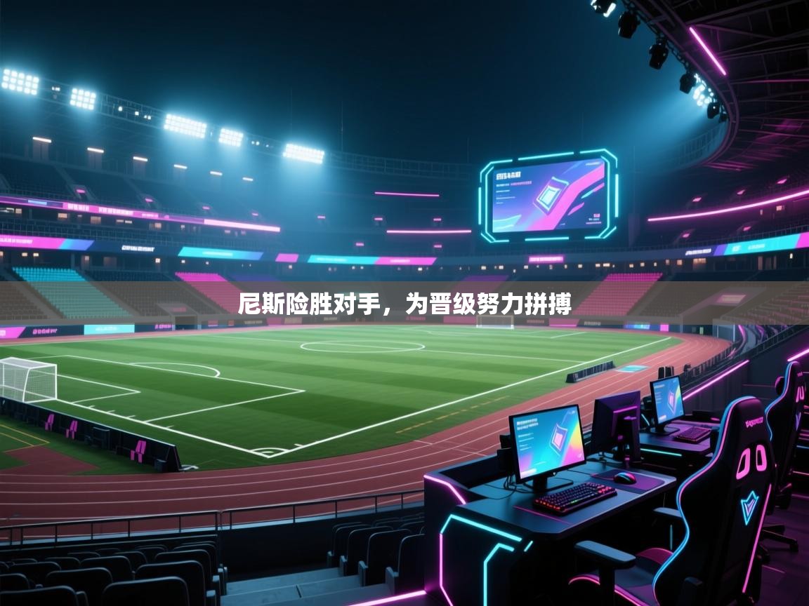 尼斯险胜对手，为晋级努力拼搏  第1张