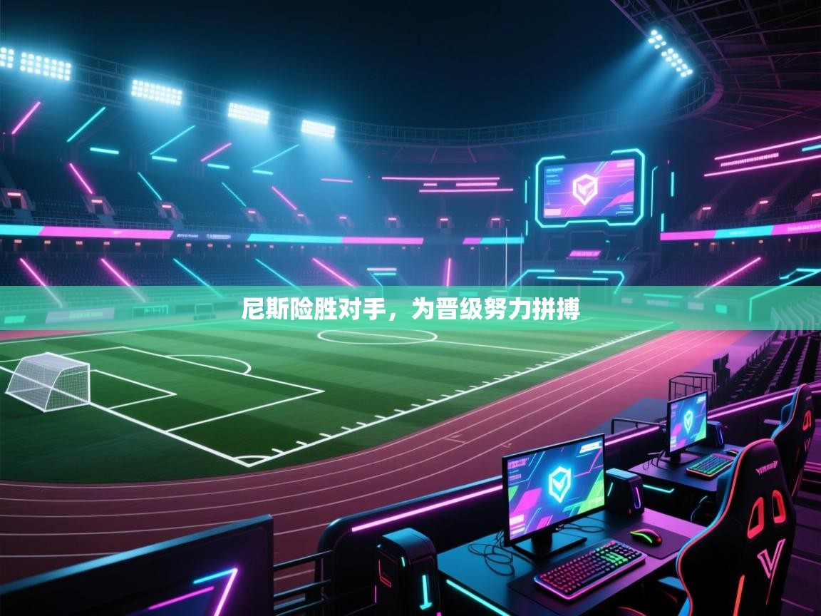 尼斯险胜对手，为晋级努力拼搏  第2张