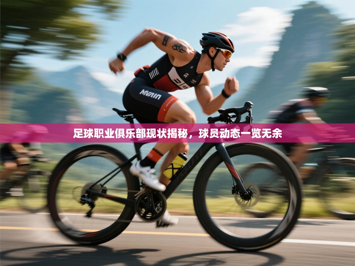 足球职业俱乐部现状揭秘，球员动态一览无余