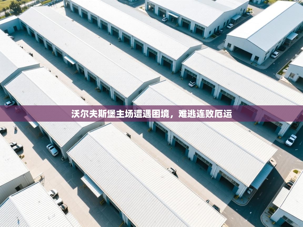 沃尔夫斯堡主场遭遇困境，难逃连败厄运  第1张