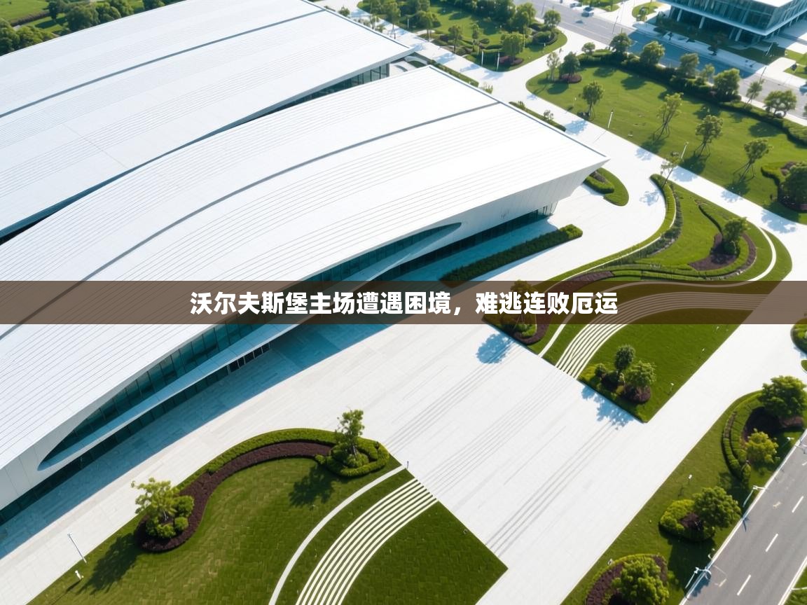 沃尔夫斯堡主场遭遇困境，难逃连败厄运  第2张