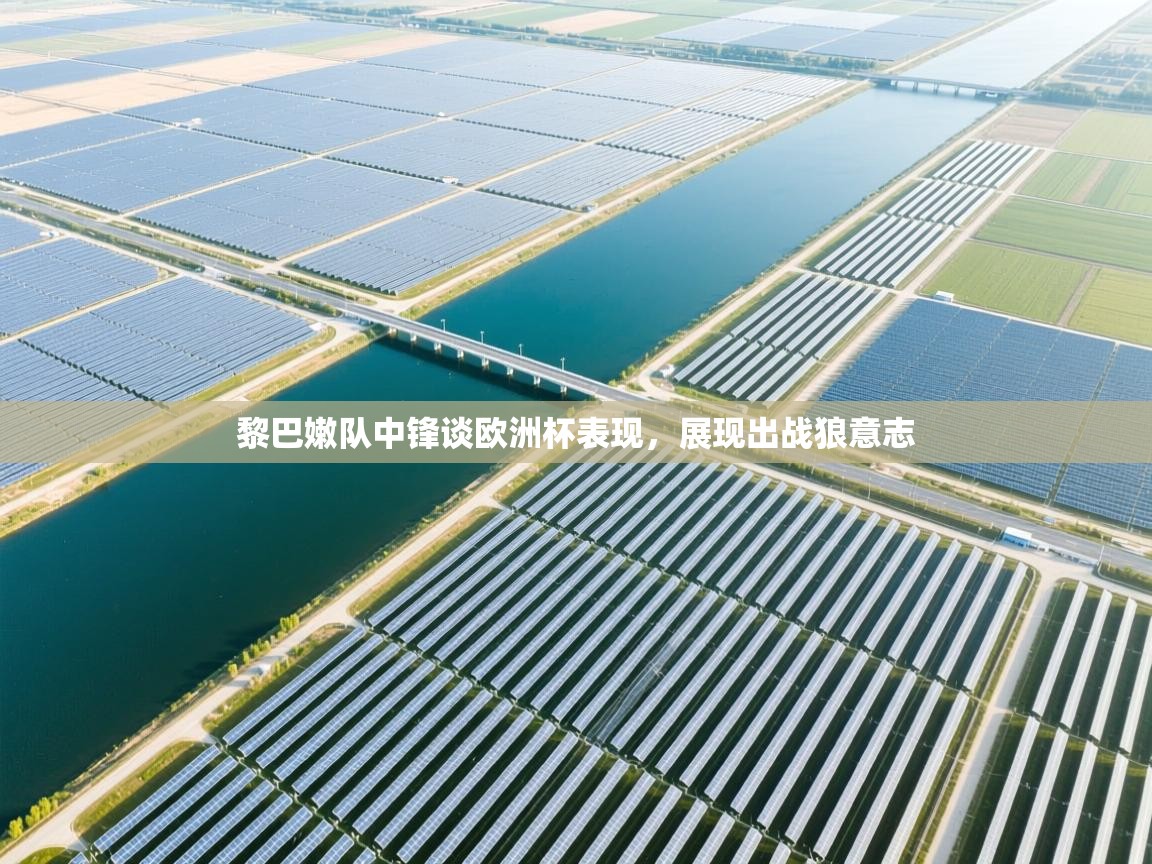 黎巴嫩队中锋谈欧洲杯表现，展现出战狼意志