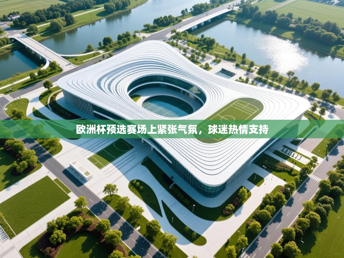 欧洲杯预选赛场上紧张气氛,球迷热情支持 第1张