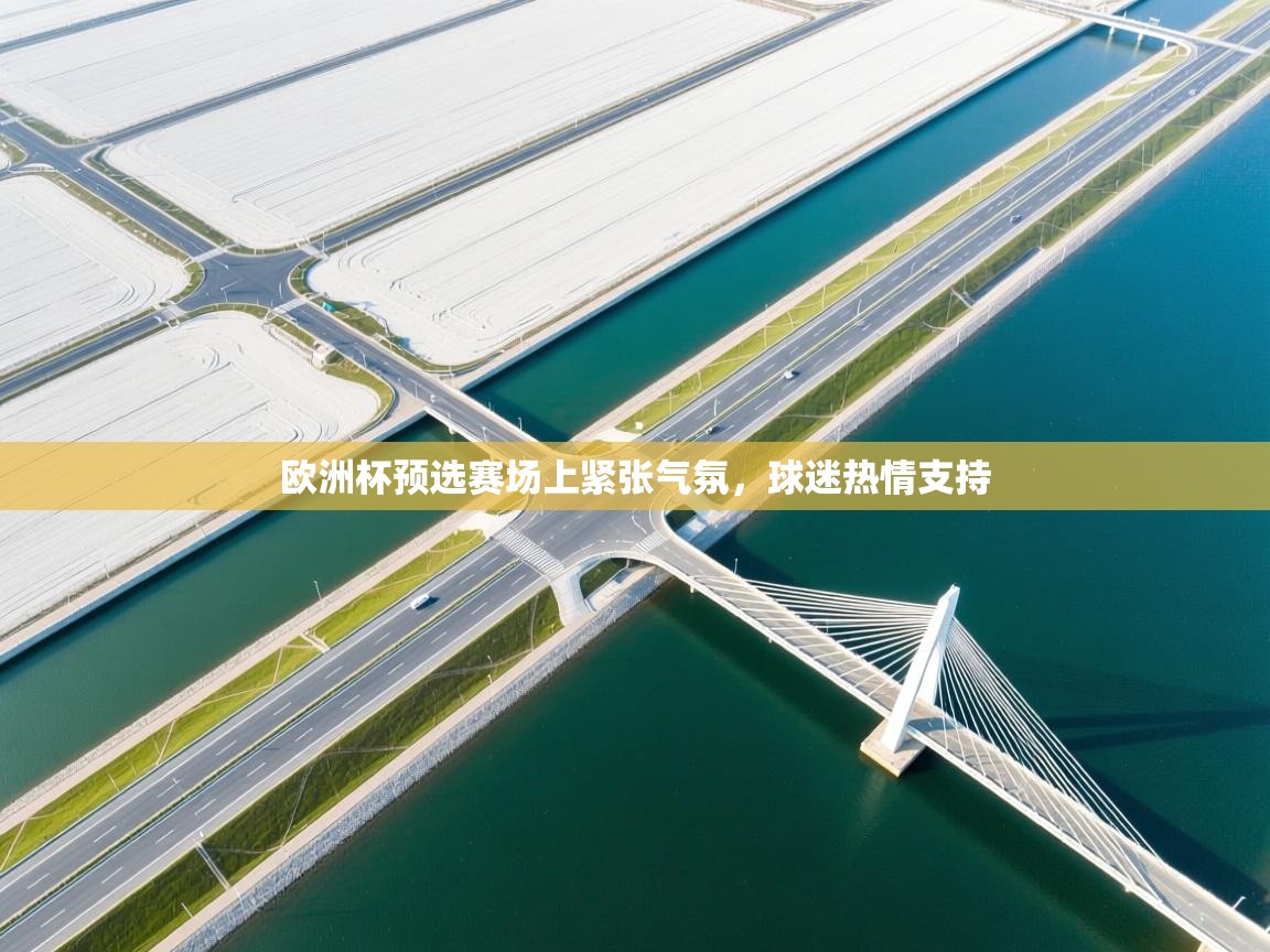 欧洲杯预选赛场上紧张气氛,球迷热情支持 第2张