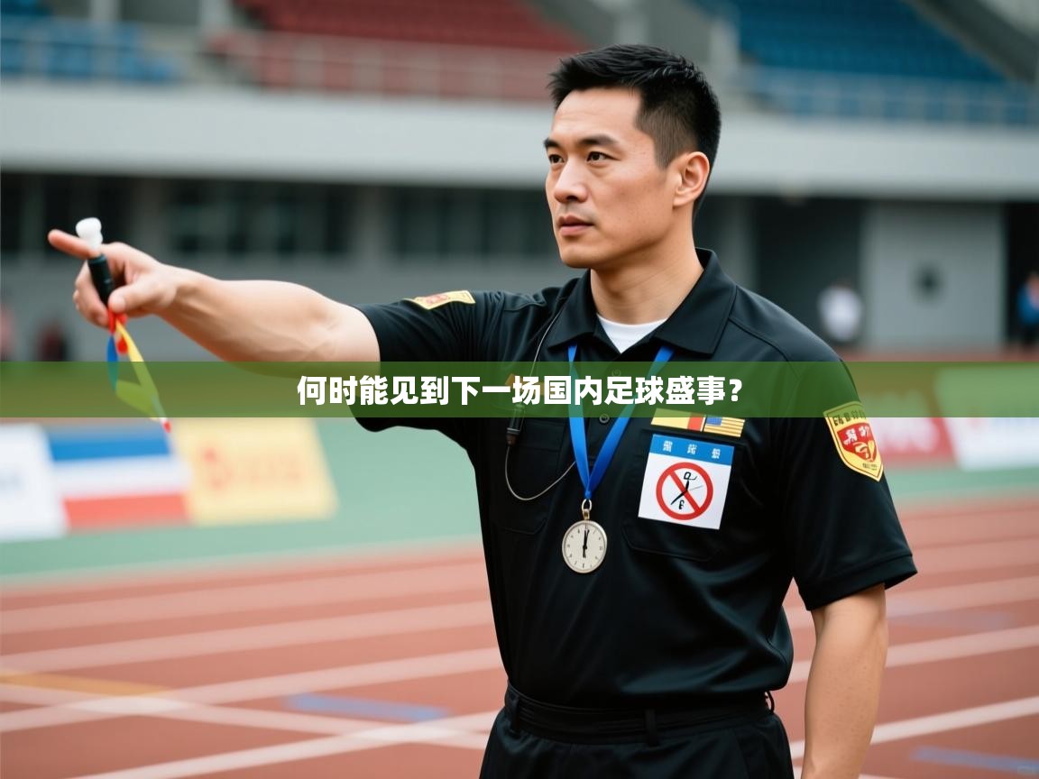 何时能见到下一场国内足球盛事？  第1张