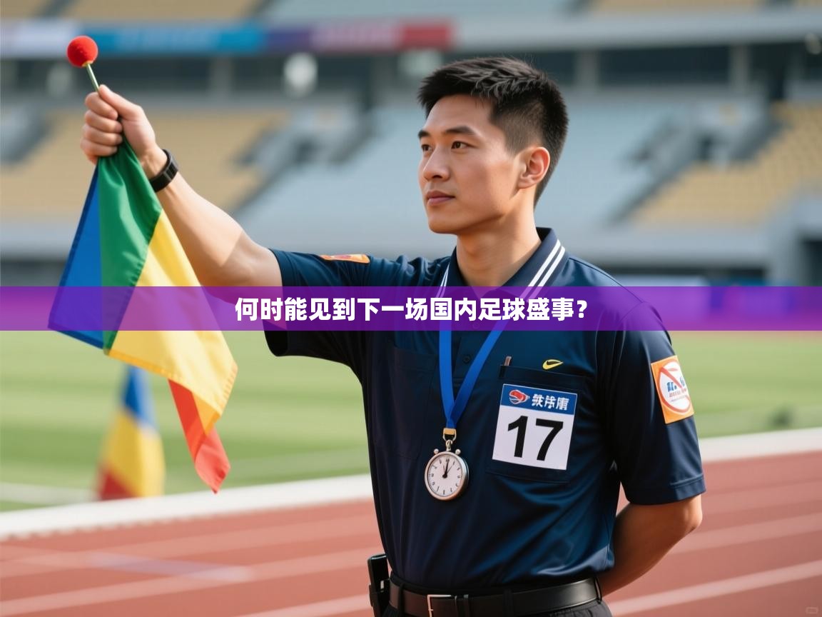 何时能见到下一场国内足球盛事？  第2张